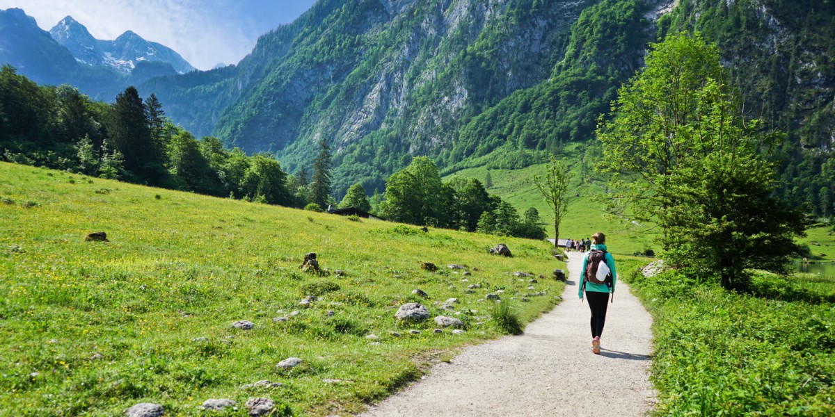 Wandelen in de zomer